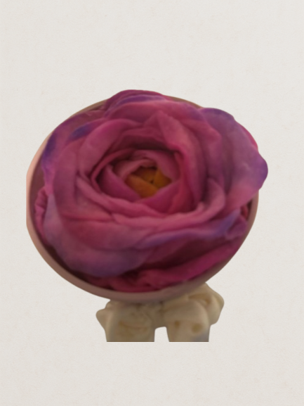 Profumatore a forma di rosa - Firenze -  Lavanda