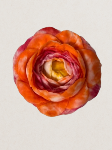 Profumatore a forma di rosa - Peperoncino -  Lavanda